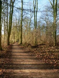 Coombe Abbey Country Park, Binley, Warwickshire