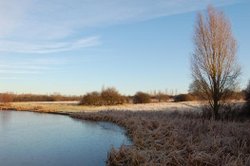 Wyken Slough Wallpaper