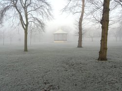 Winter in The Park, Greenwich, Greater London Wallpaper