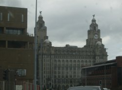 The Liver building Wallpaper