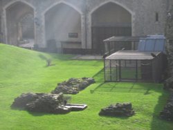 Tower of London Ravens Wallpaper