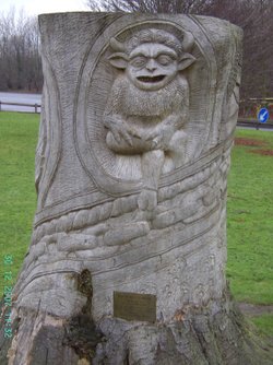 Beech Tree Carving