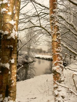 River Tame, Mossley