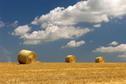 Harvest Field Near Skidby, East Riding of Yorkshire Wallpaper