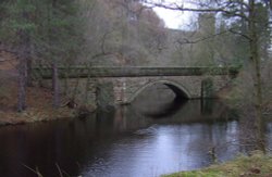 Nature Trail, Derwent Reservoir, Castleton, Derbyshire Wallpaper