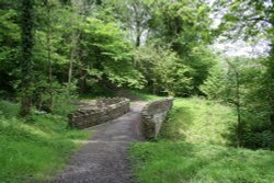 Over Hacking Wood, near Hurst Green, Lancashire. Wallpaper