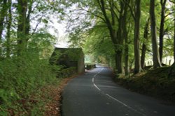 Newton, in the Forest of Bowland. Wallpaper