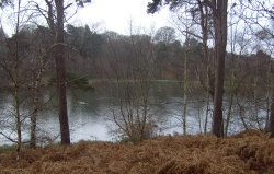 The lake at Clumber Country Park, Worksop, Nottinghamshire Wallpaper