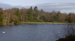 Lake View, Clumber Country Park, Worksop, Nottinghamshire Wallpaper