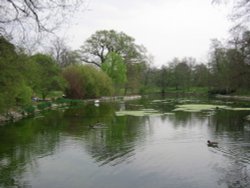 Kew Gardens Wallpaper