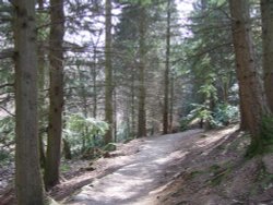 On the track to Aira Force Wallpaper