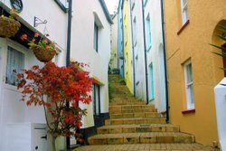 Temperence Steps, Brixham, Devon Wallpaper