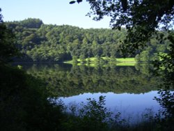 Septermber Morning reflections on Grasmere, Cumbria Wallpaper