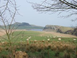 Hadrian's Wall, Steel Rigg, Northumberland Wallpaper