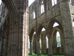 Tintern Abbey, Chepstow, Monmouthshire Wallpaper