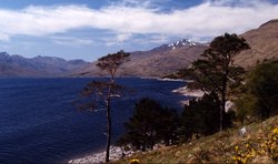 Loch Quoich, Glen Garry, Fort William, Highland Wallpaper