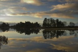 Early morning at Hatchet Pond, New Forest, Hampshire Wallpaper