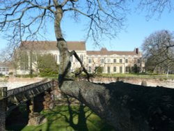 Eltham Palace, Greater London Wallpaper