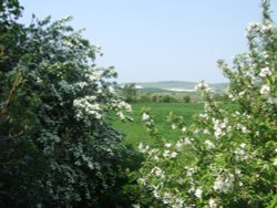 View from the garden Monks House, Lewes, East Sussex Wallpaper