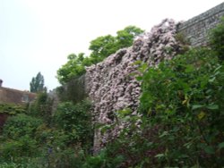 The gardens at Sissinghurst Wallpaper