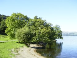 Windermere, west bank opposite Bowness Bay, winter afternoon, Wallpaper