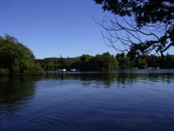 West Bank of Windermere opposite Bell Isle Wallpaper