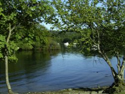 September afternoon on the West Bank of Windermere, opposite Belle Isle. Wallpaper