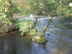 October at the Brathay River, nr. Ambleside,Cumbria. Wallpaper