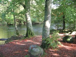 October, the Brathay River, nr. Ambleside,Cumbria. Wallpaper