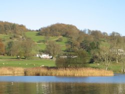 Late Autumn afternoon at Esthwaite Water. Near Sawrey, Cumbria. Wallpaper