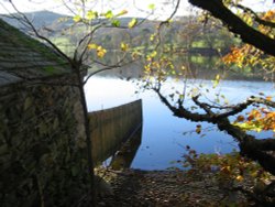 Late Autumn afternoon at Esthwaite Water, Near Sawery, Cumbria, Wallpaper