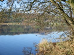 Late Autumn Afternoon at Esthwaite Water, Near Sawery. Cumbria. Wallpaper