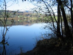 Late Autumn Afternoon at Esthwaite Water, Near Sawery. Cumbria. Wallpaper