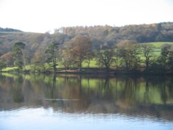 Autumn afternoon at Esthwaite Water, nr Near Sawrey. Wallpaper