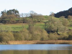 Autumn afternoon at Esthwaite Water, nr Near Sawrey. Wallpaper