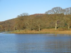 Autumn afternoon at Esthwaite Water, nr Near Sawrey. Wallpaper