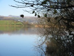 Autumn afternoon at Esthwaite Water, nr Near Sawrey. Wallpaper