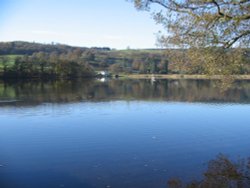 Autumn afternoon at Esthwaite Water, nr Near Sawrey. Wallpaper