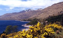 Loch Quoich, Glen Garry, Fort William Wallpaper