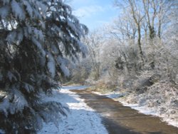 Snow Fall, Toad Hall Lane Wallpaper