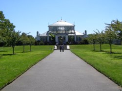 Temperate House, Kew Wallpaper