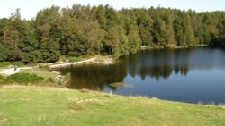 Tarn Hows, Cumbria. Wallpaper