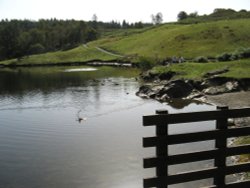 Tarn Hows, Cumbria. September 2007. Wallpaper