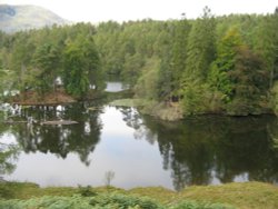 Tarn Hows, Cumbria. September 2007. Wallpaper