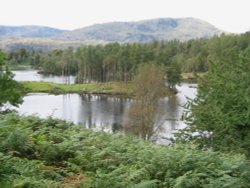 Tarn Hows, Cumbria. September 2007. Wallpaper