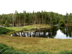 Tarn Hows, Cumbria. September 2007. Wallpaper