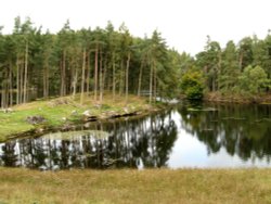 Tarn Hows, Cumbria. September 2007. Wallpaper