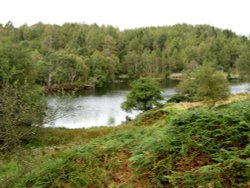 Tarn Hows, Cumbria. September 2007. Wallpaper