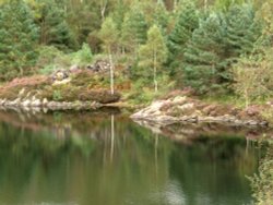 Tarn Hows, Cumbria. September 2007. Wallpaper