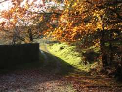 Longridge, Lancashire.